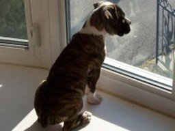 sally_20211128_1060709578